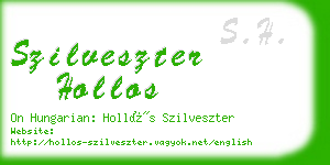 szilveszter hollos business card